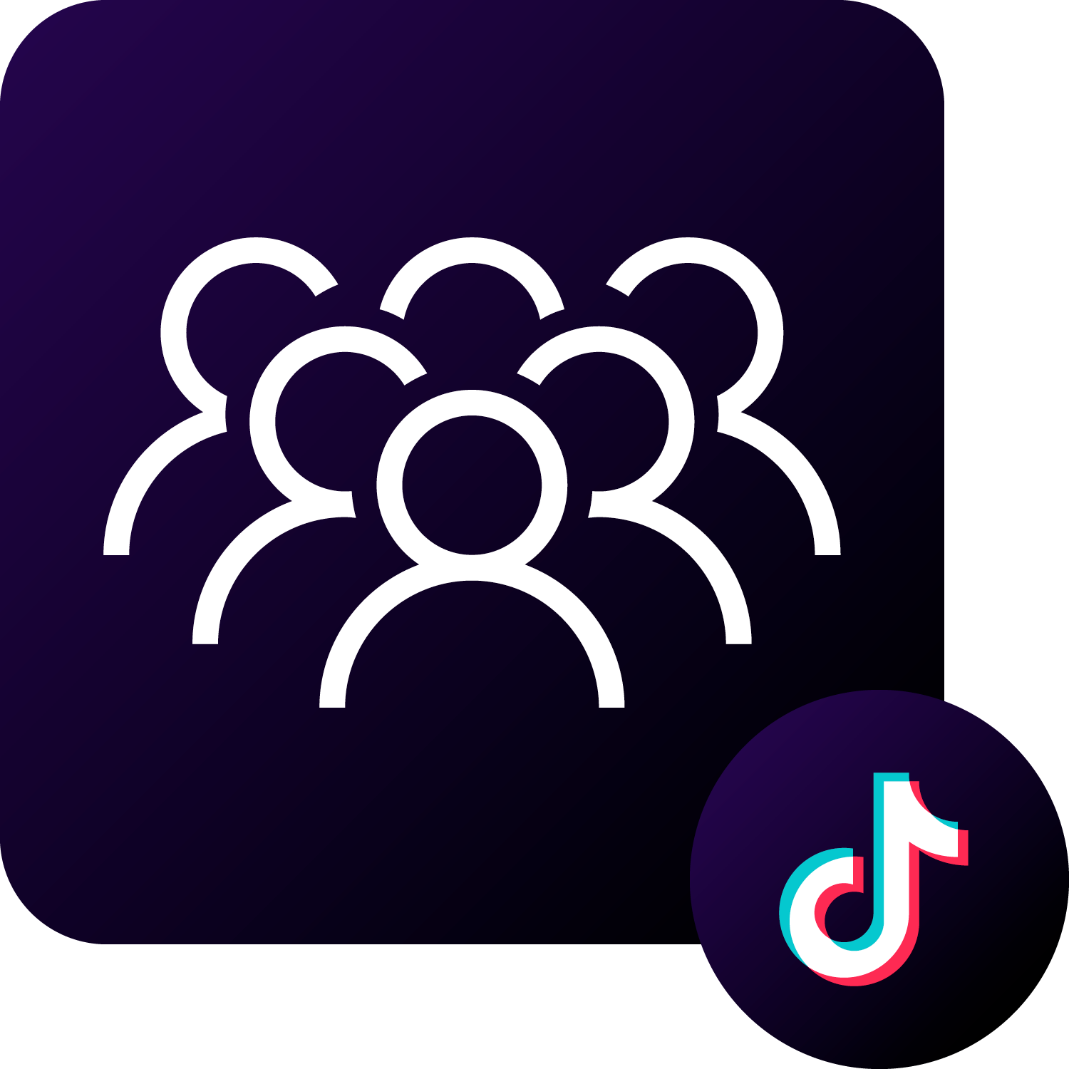 Seguidores en TikTok